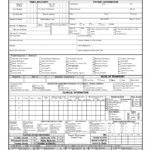 Sample Ems Patient Care Reports Report Writing Example Of Regarding Patient Care Report Template