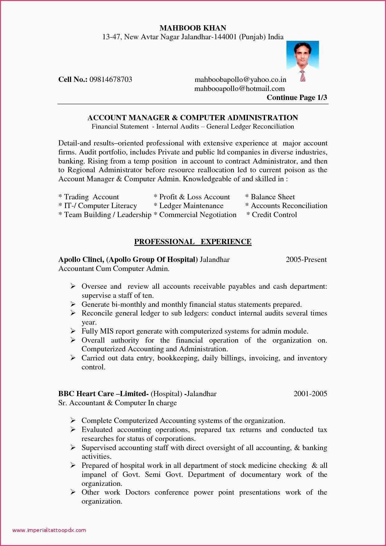 Sample Profit And Loss Statement And Balance Sheet Of For Certificate Of Analysis Template