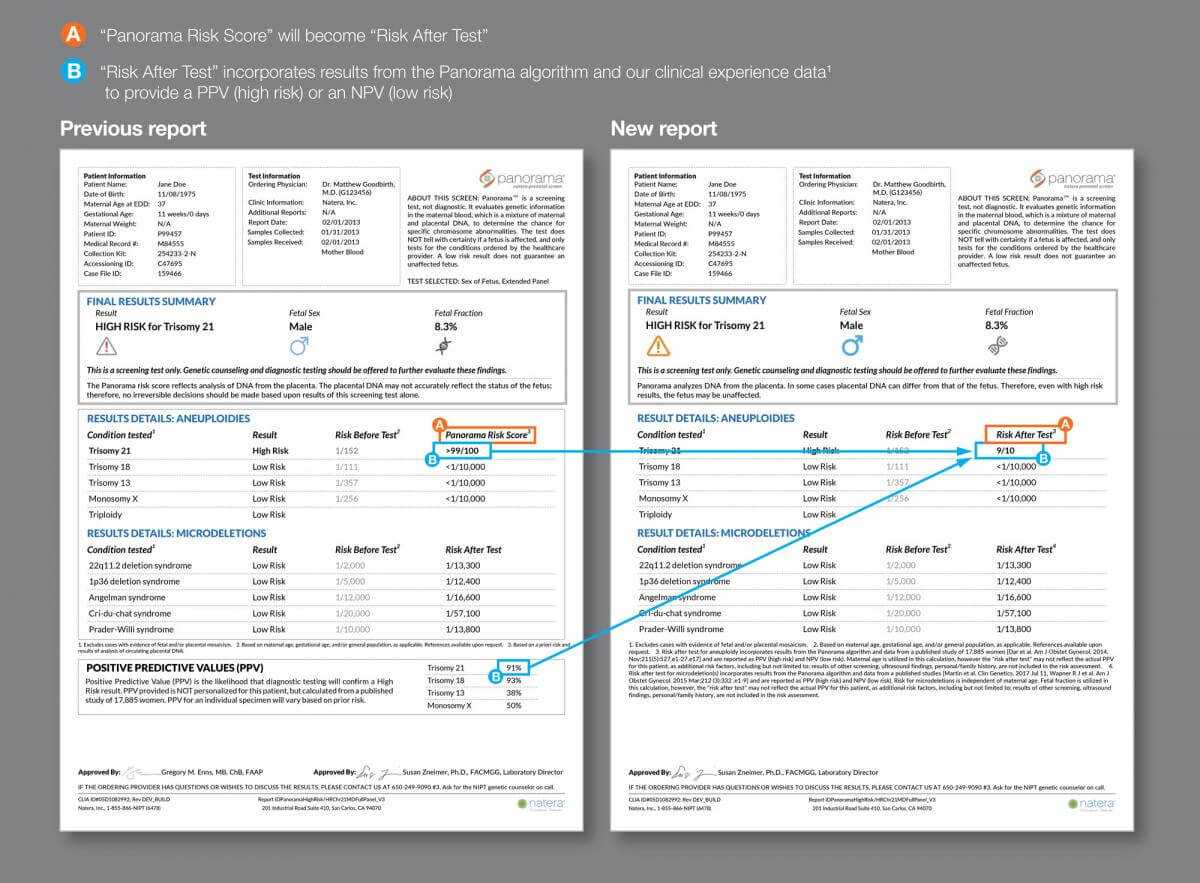 Sample Report Examples For Panorama Throughout Dr Test Report Template