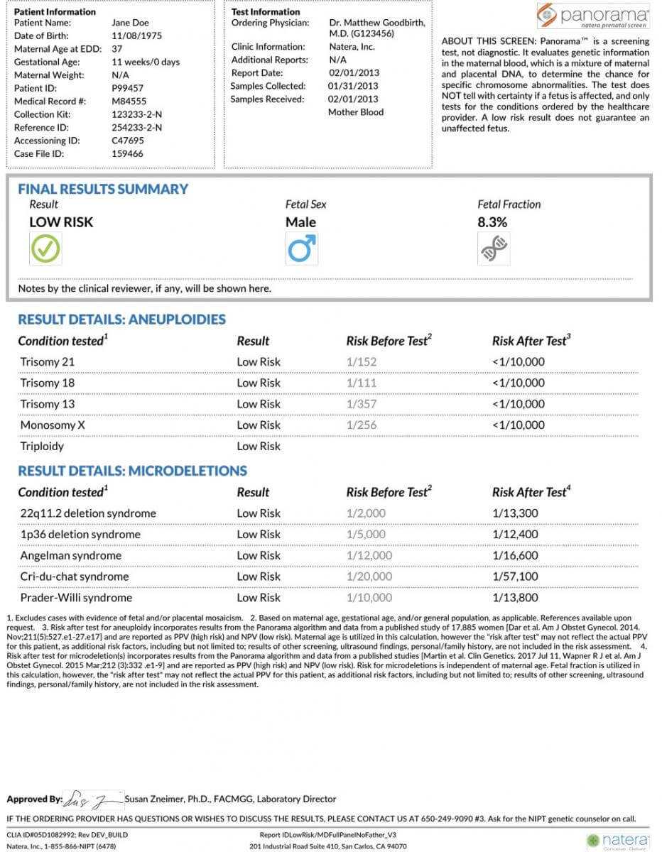 Sample Report Examples For Panorama With Regard To Dr Test Report Template