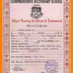 School Leaving Certificate Format.school Leaving Certificate For School Leaving Certificate Template