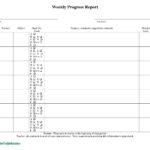 School Progress Report Template Doc Elementary Ample Pdf within Summer School Progress Report Template