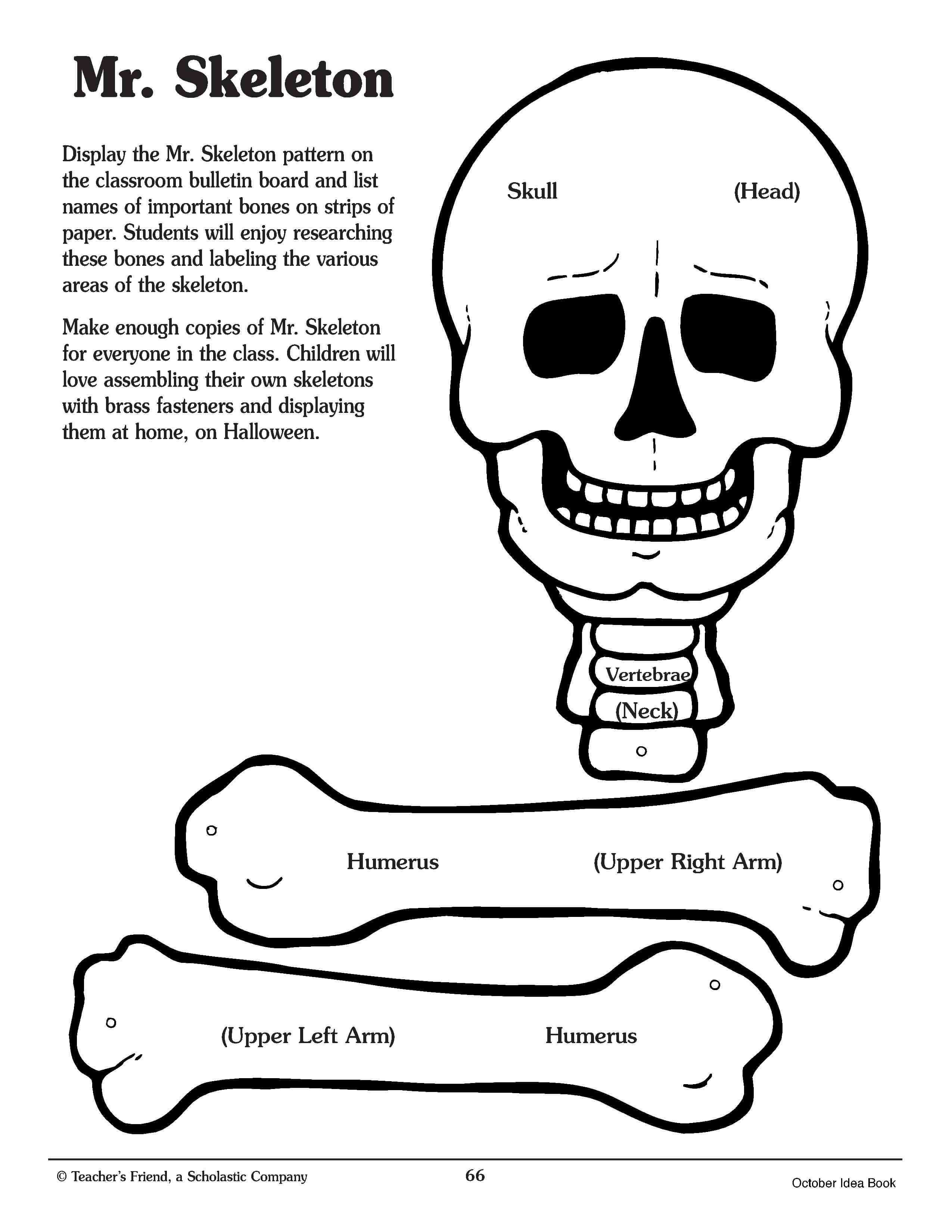 Semi Homemade Valentines For Busy Teachers | For The Inside Skeleton Book Report Template