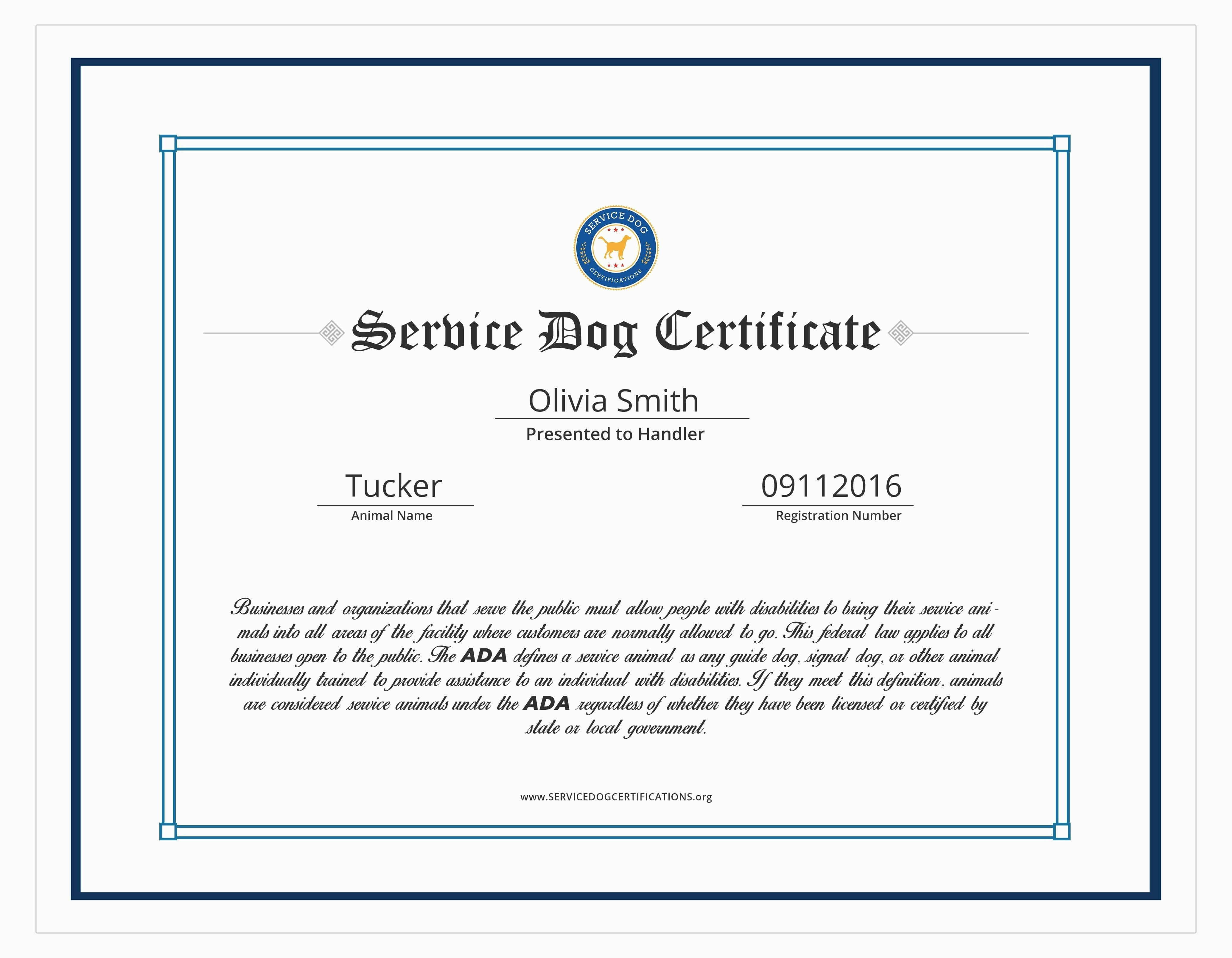 Service Dog Certificate Template 14 Clarifications On With Service Dog Certificate Template