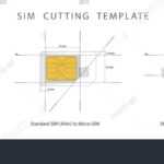 Sim Card Cut Template Pdf Intended For Sim Card Template Pdf