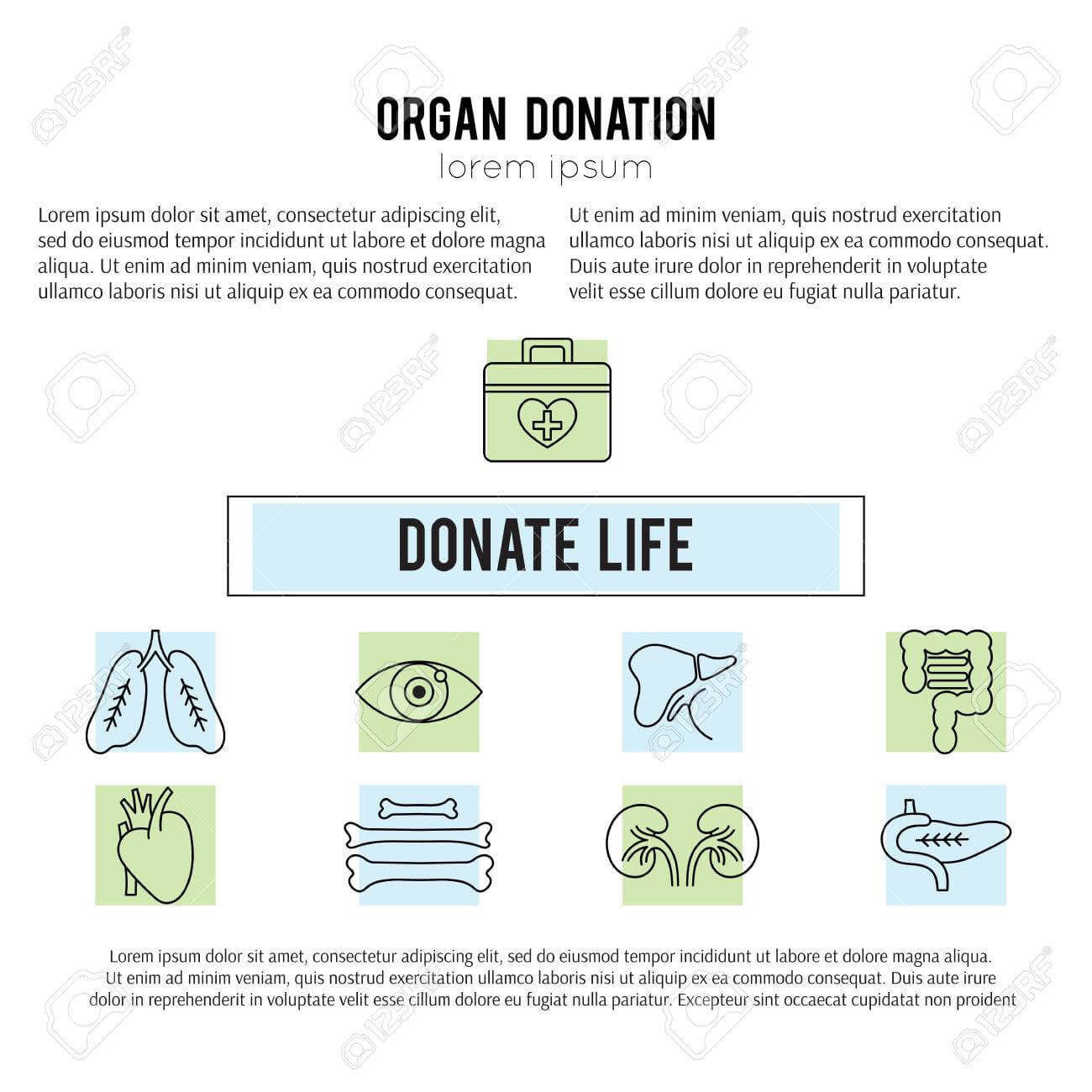 Square Banner Template. Organ Donation Thin Line Icons For Organ Donor Card Template
