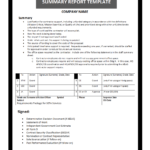 Summary Report Template For Work Summary Report Template