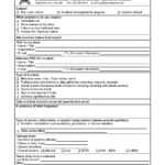 Technology Incident Report Template Templates Information For Serious Incident Report Template