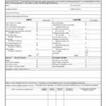 Template For Personal Financial Statement Examples Of With Blank Personal Financial Statement Template