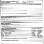 Termite Inspection Report Template Within Pest Control Report Template