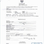 Translate Spanish To English Birth Certificate Template Intended For Birth Certificate Translation Template English To Spanish