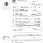 Translation Certification Statement Uscis For Birth Regarding Uscis Birth Certificate Translation Template