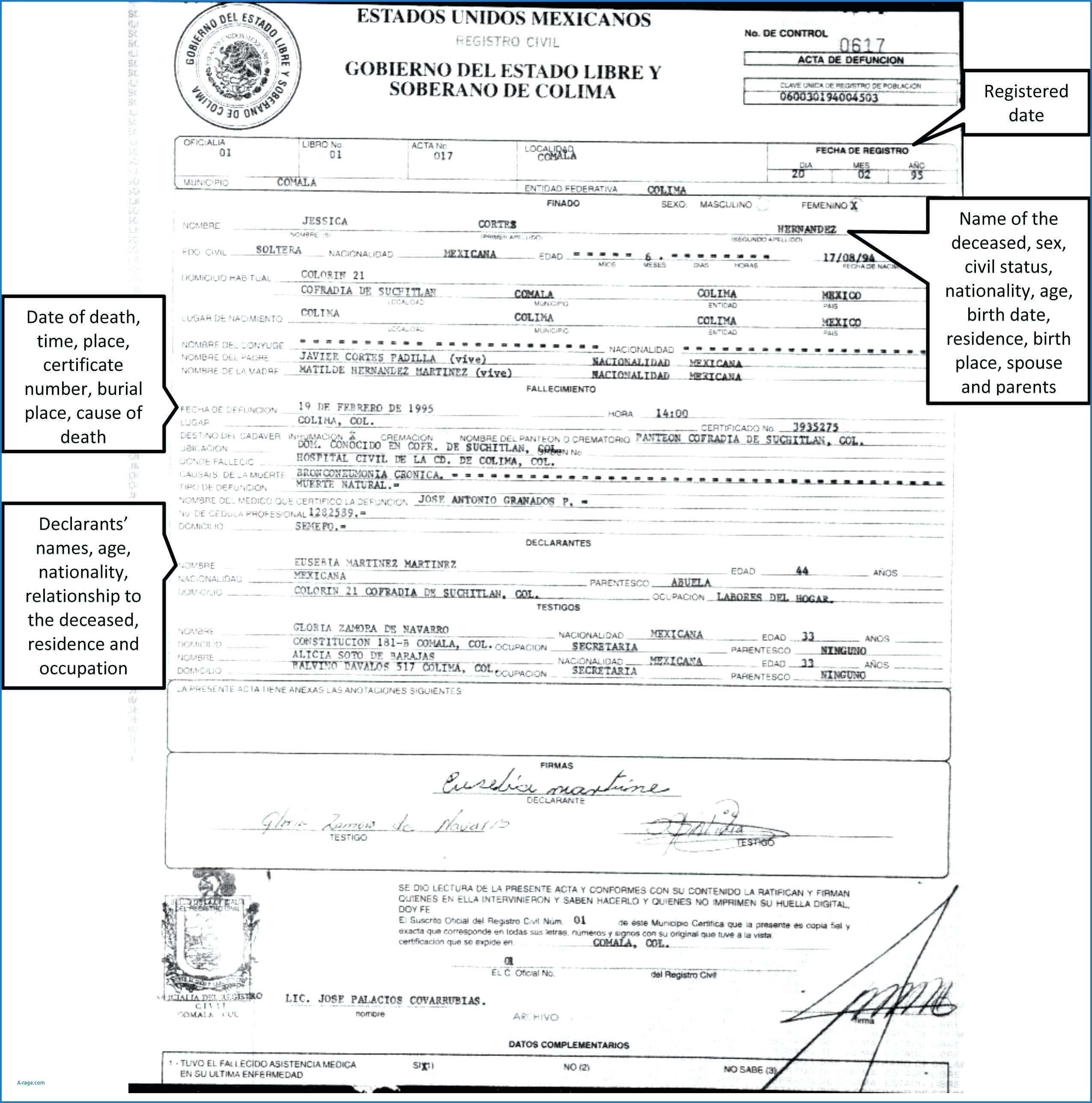 Translation Of Birth Certificate Template – Verypage.co With Regard To Novelty Birth Certificate Template