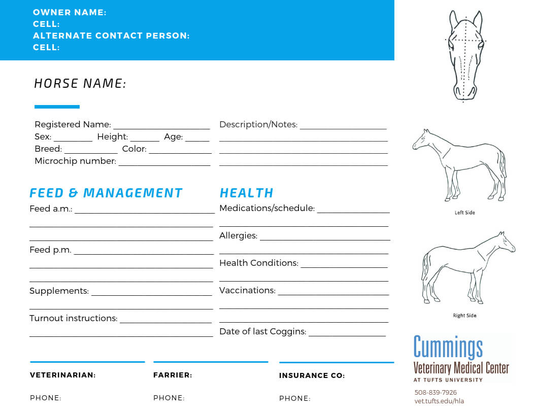 Travel Confidently | News At Cummings School Of Veterinary Throughout Horse Stall Card Template