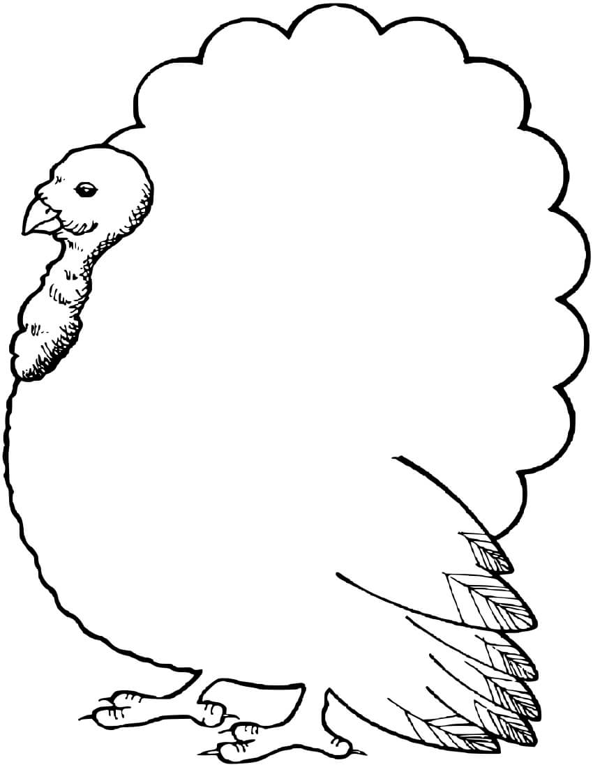 Turkey Outline | Free Download Best Turkey Outline On Regarding Blank Turkey Template