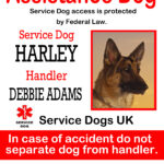 Uk Service Dog Id Tags : The Sewing Network Inside Service Dog Certificate Template