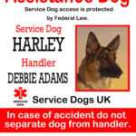 Uk Service Dog Id Tags : The Sewing Network Inside Service Dog Certificate Template