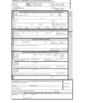 Uniform Citation Form – Fill Online, Printable, Fillable With Blank Speeding Ticket Template