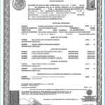 Uscis Birth Certificate Translation Template #10036 For Uscis Birth Certificate Translation Template