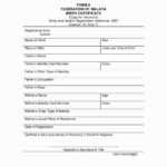 Uscis Birth Certificate Translation Template Is Uscis For Uscis Birth Certificate Translation Template