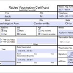 Usda Aphis | Travel Documentation – Rabies Vaccination Throughout Rabies Vaccine Certificate Template