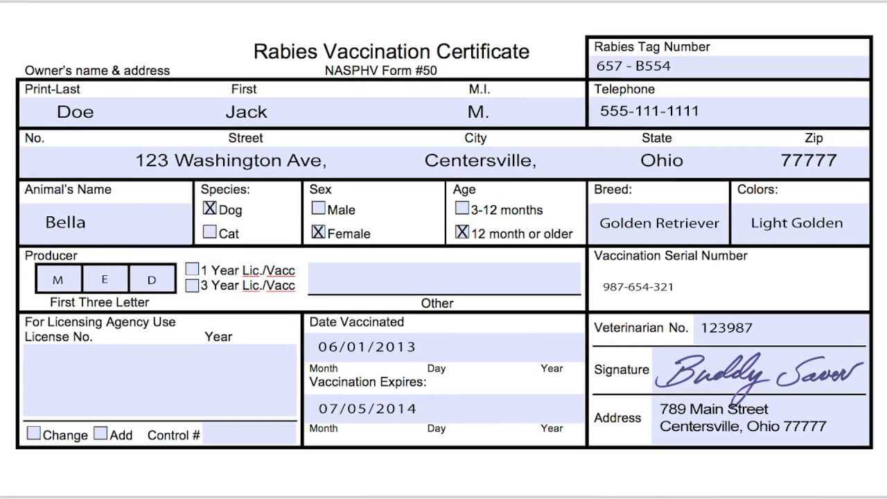 Usda Aphis | Travel Documentation – Rabies Vaccination Throughout Rabies Vaccine Certificate Template