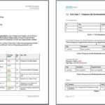 Using Ibm Rational Publishing Engine To Generate Compliance Pertaining To Report Specification Template