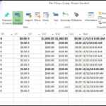 Using Microsoft Project Evm For Earned Value Management For Earned Value Report Template