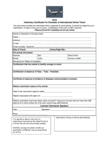 Veterinary Certificate – Fill Online, Printable, Fillable regarding Veterinary Health ...
