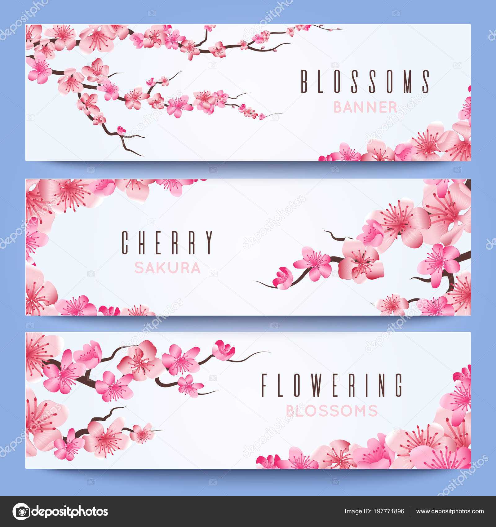 Wedding Banners Template With Spring Japan Sakura, Cherry For Wedding Banner Design Templates