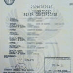 Where Do I Get My Birth Certificate Near Me Awe Inspiring With Regard To South African Birth Certificate Template