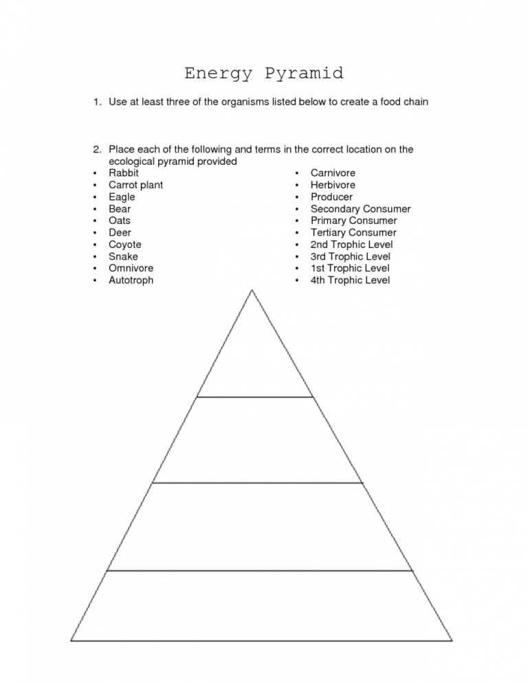 Blank Food Web Template