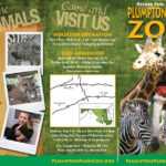 Zoo Brochure – Google Search | The Las Vegas Zoo | Zoo For Zoo Brochure Template