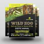 Zoo Flyer Template Intended For Zoo Brochure Template