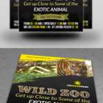 Zoo Flyer Template On Behance Pertaining To Zoo Brochure Template